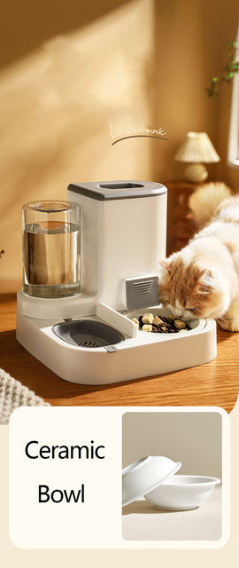 Dispensador automático de comida e água para pets